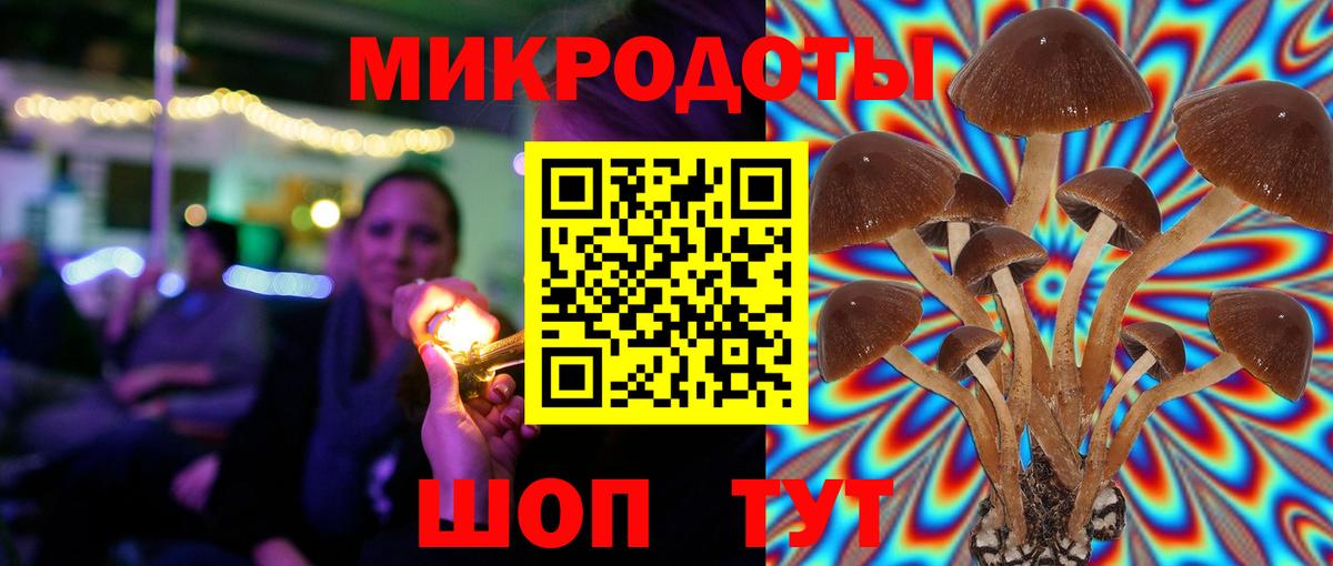 Псилоцибиновые грибы GOLDEN TEACHER Михайловск