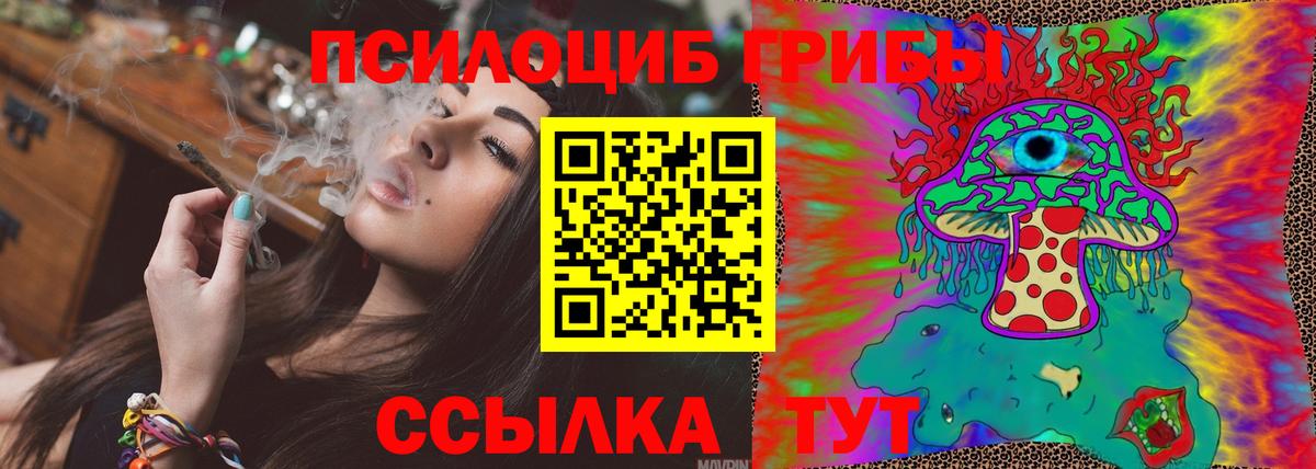 Михайловск  Галлюциногенные грибы MAGIC MUSHROOMS  Вход с VPN 